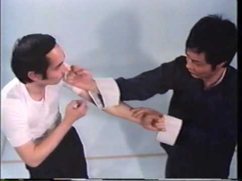 Wing Chun Basic Techniques part 1