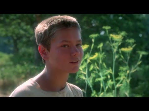 Milton Nascimento - Carta a um jovem ator (River Phoenix)