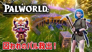 【パルワールド】初の救援物資に遭遇！囚われのパルを救え！夫婦でまったり実況【Palworld】 #4
