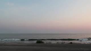 Shallou - 1 Hour Instrumental Mix (Relax/Background/Study)