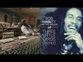 Three Little Birds | Bob Marley | LEGEND REMIXED ...