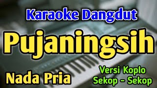 Download lagu PUJANINGSIH - KARAOKE || NADA PRIA COWOK || Versi Koplo || Silvy Kumalasari || Wisnu Jaya mp3