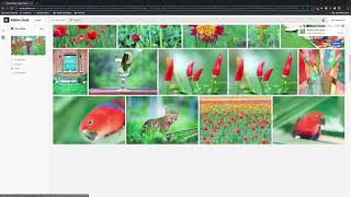License multiple Adobe Stock assets through CC Libraries