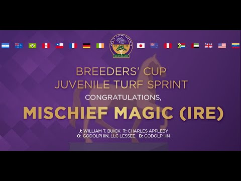 2022 Breeders' Cup Juvenile Turf Sprint - Mischief Magic