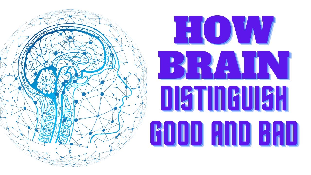 HOW DOES THE BRAIN DISTINGUISH BETWEEN GOOD AND BAD SMELLS ?