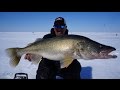 Ice Fishing Monster Walleye's