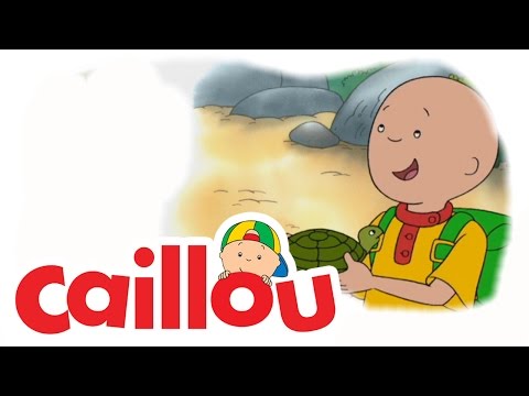 Caillou - One, Two, Boom!  (S02E09) | Videos For Kids