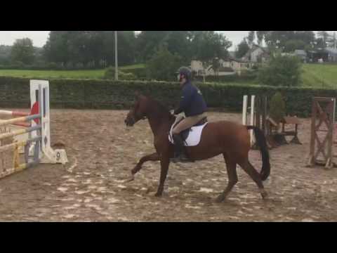 kevin and rosie 1.20