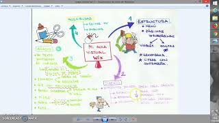 2.- Wix: opciones de cuenta y edición de menú y encabezado.