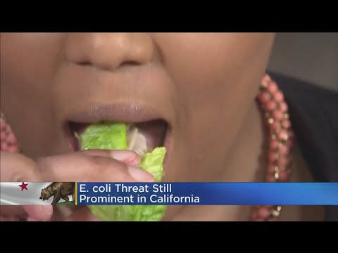 download lagu mp3 mp4 Fda 101 9, download lagu Fda 101 9 gratis, unduh video klip Fda 101 9