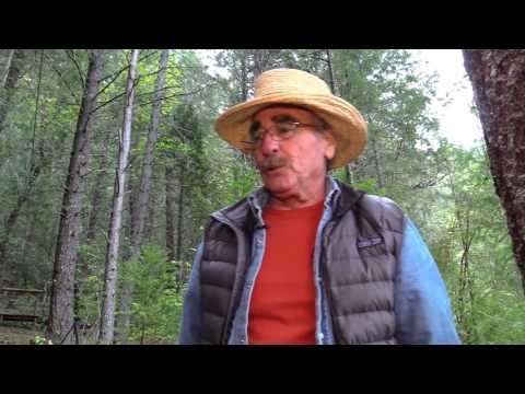 Treehouse Dreamers part 1 Installing the Garnier Limb