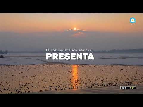 Transmisión en vivo de Canal 12 Trenque Lauquen