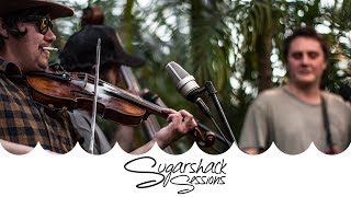 West King String Band - Red Haired Boy ft. Spooky Fiddler (Live Acoustic) | Sugarshack Sessions