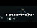 LUCIANO - TRIPPIN