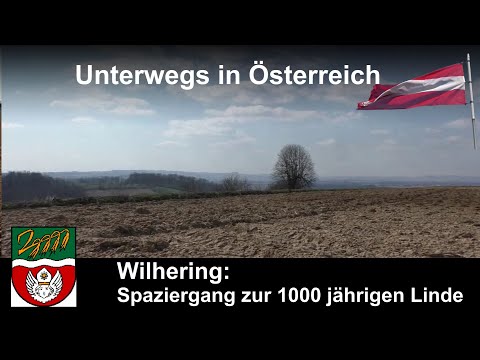 Unterwegs in Österreich: Wilhering: Spaziergang zur 1000 jährigen Linde(O.Ö.)