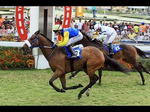 Ride Of The Day Award 2014 - Cédric Ségeon