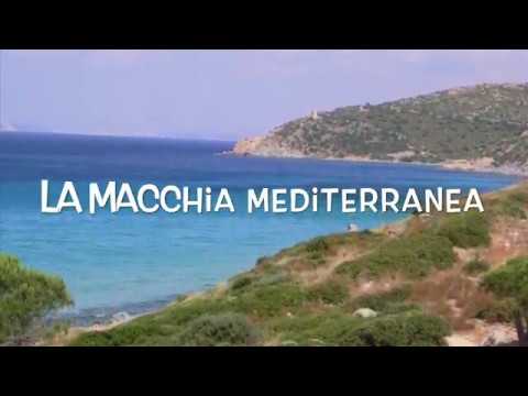 La macchia mediterranea