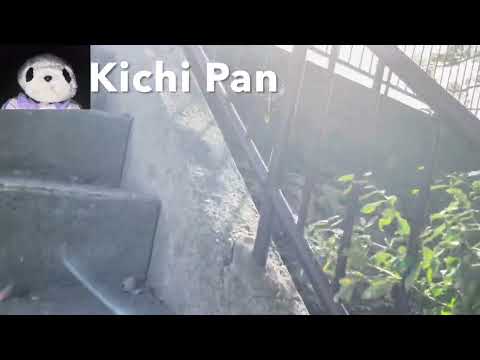 Parque Mukonoyama, embaixador de turismo de Pankichi🐼 (distrito de Higashi, cidade de Fukuoka)