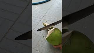 Chặc dừa 3 chục nhác