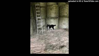 04 Quand Vient La Nuit