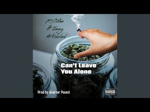 Can't Leave You Alone