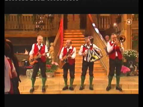 Die Stoakogler, Hitmix - 2010