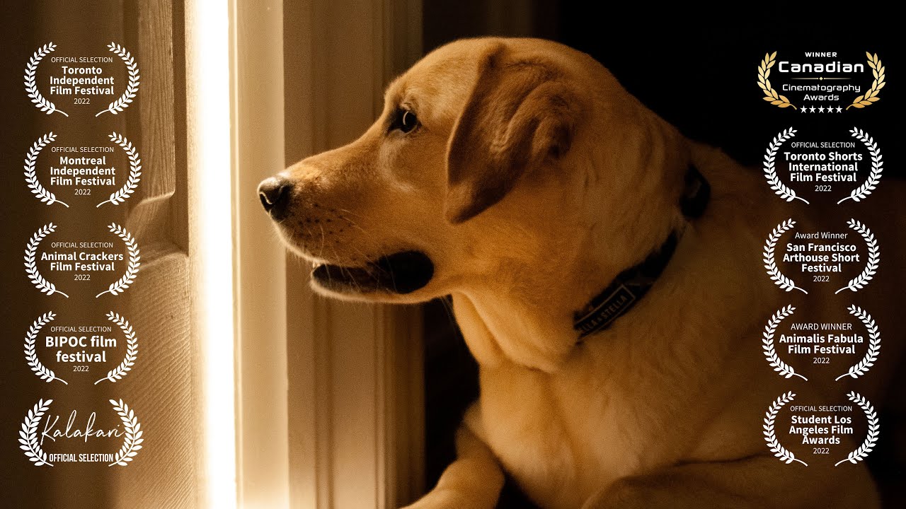 This student short film got me into 10 film festivals (Shot on Fuji XT4)