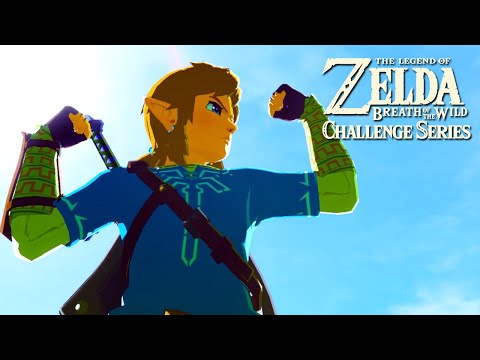 THE NO DAMAGE HAIL MARY: Breath of the Wild Challenge Series