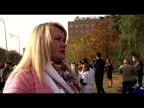 В Курске появилась новая липовая аллея