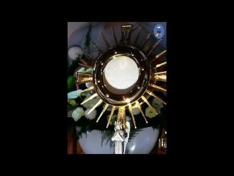 Czatachowa 01.11.2022 - Uroczystość Wszystkich Świętych - Koronka do Bożego Miłosierdzia