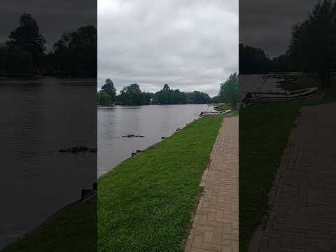 Villa Paranacito un lugar diferente para andar en lanchas