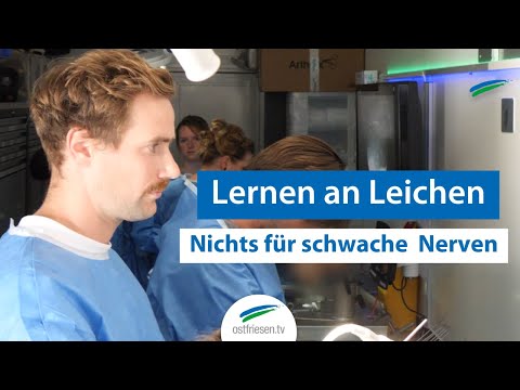 Lernen an Leichenteilen | Nichts für schwache Nerven