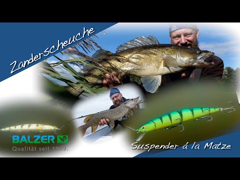 Matze Koch: Die Zanderscheuche reitet wieder!