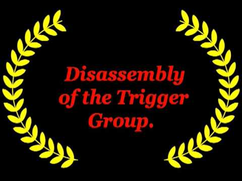 Rugger 10/22 Completer Trigger Job by Ron Power from Power Custom