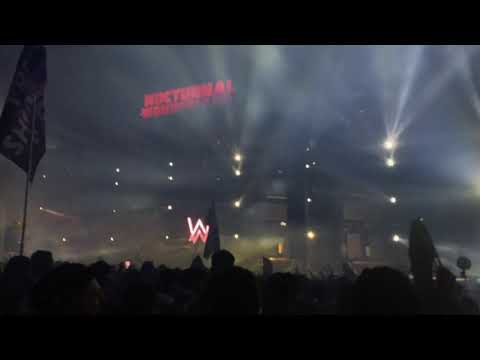 Alan walker Nocturnal Wonderland 2019