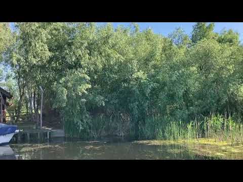 #Pensiunea Pestișorul / #DUNAVĂȚ