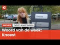 Het Twentse woord van de week: Knoest