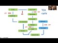 Is ME/CFS Curable? Ronald W. Davis' Lecture at the 2023 Fatigatio Symposium - Open Medicine Foundation - OMF Is ME/CFS Curable? Ronald W. Davis' Lecture at the 2023 Fatigatio Symposium