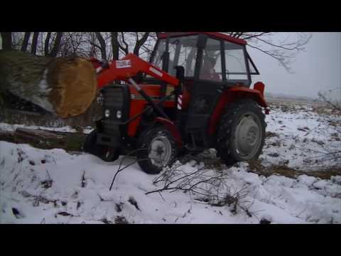 Zima 2017  Akcja drzewo Ursus Power