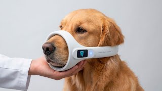 75 Smart Amazon Finds That Will Make Your Pet’s Life Better