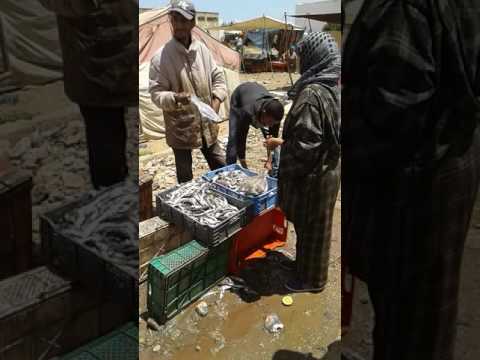 Lhoot Batel FlBlaad 2017