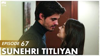 Sunehri Titliyan  Episode 67  Turkish Drama  Sunsh