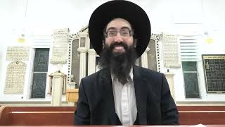 מָיינְדְפוּלְנֶס יהודי - חיים של חוויה
