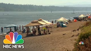 Northwest Heat Wave Causes Blackouts, Damage And Health Risks