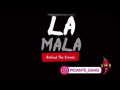 Bubu 35 - la malona / picante gang - Behind the scenes