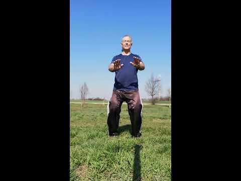 Eine wunderbare Lungen Qi Gong Übung