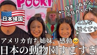 【日本帰国】日本はすごい！アメリカ育ち姉妹、日本の動物園のレベルの高さに感動！