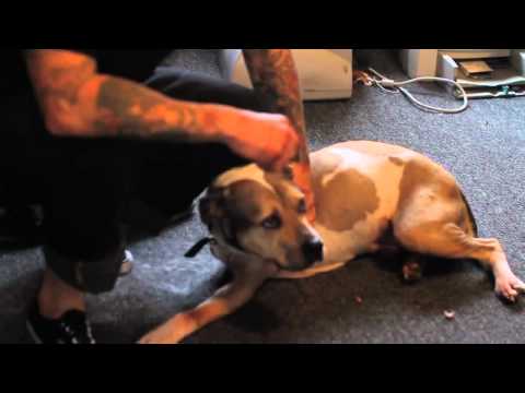 Klasyczny wyciskacz łez