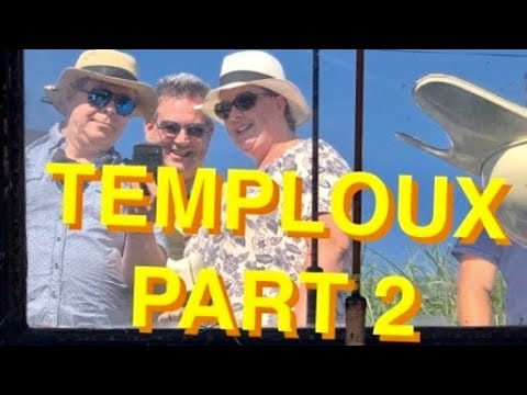 Temploux - Finding Coins, Videogames and Toys on the market - Erix Collectables #37