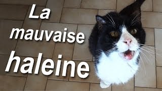 056 LA MAUVAISE HALEINE